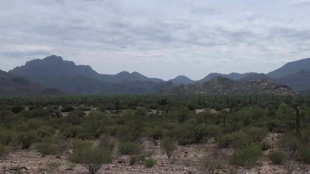 Rechazo ANP sierras Giganta y Guadalupe